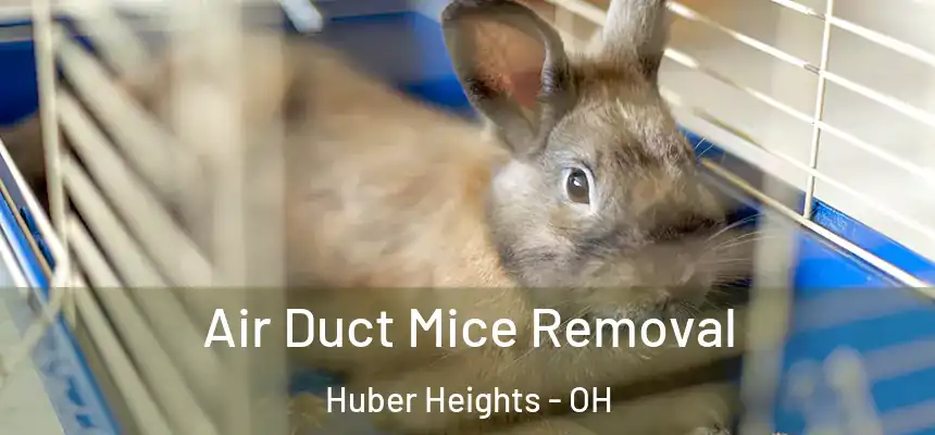 Air Duct Mice Removal Huber Heights - OH