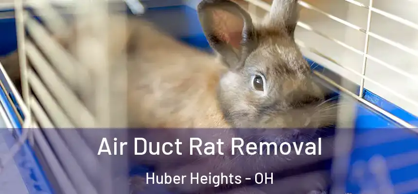  Air Duct Rat Removal Huber Heights - OH
