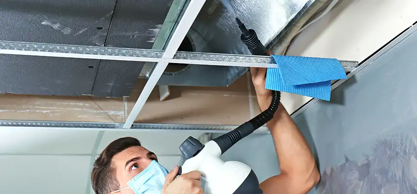 Our Air Duct Rodent Removal Services in Huber Heights, OH