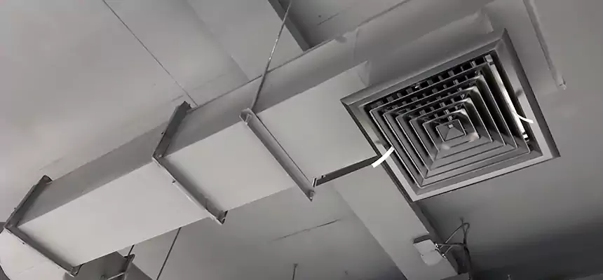 Our Pest Removal From Ducts Services in Huber Heights, OH