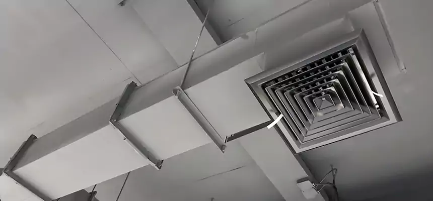 Our Rodent Droppings In Vents Services in Huber Heights, OH