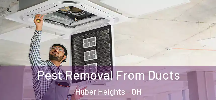  Pest Removal From Ducts Huber Heights - OH