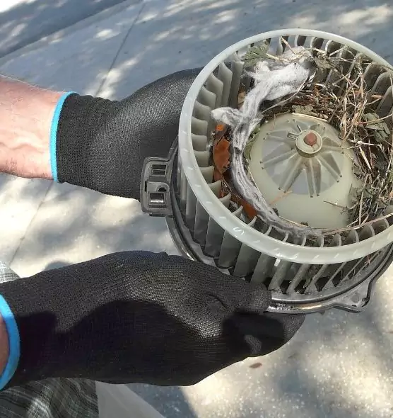 About Air Duct Mice Removal in Huber Heights, OH