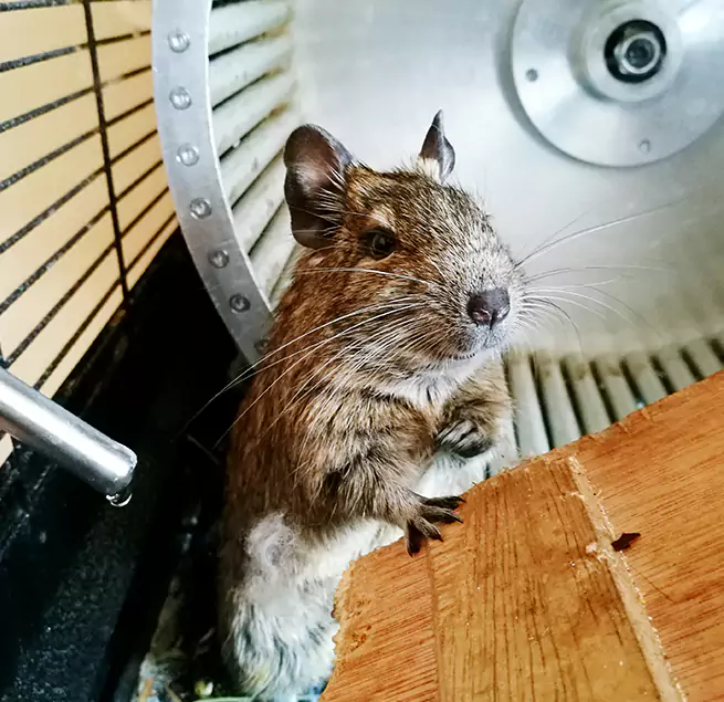 Why Homeowners & Businesses Trust Us Huber Heights, OH?